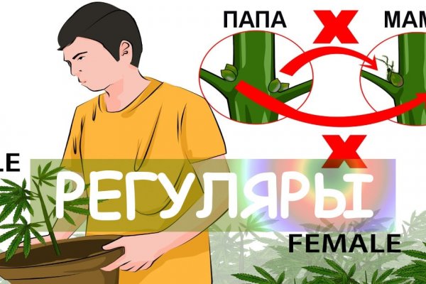 Kraken что это за магазин